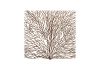 Coral Wall Art Square Black and Copper