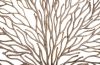 Coral Wall Art Square Black and Copper