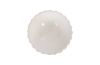 Coral Bowl Gel Coat White