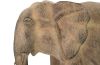 Elephant Resin Graystone Finish
