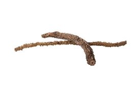 Natural Vine