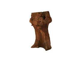 Redwood Root