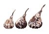Hand Dipped Pears Set of 3
