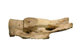 Hardwood Sculpture