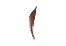 Palm Spathe Wall Tile