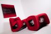 Seat Belt Wall Screen Red