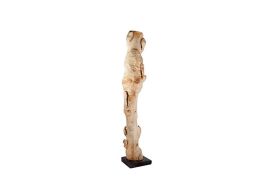 Bleached Wood Pillar