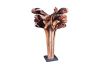 Palm Spathe Sculpture