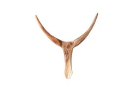 Nguni Horn Mount