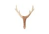 Deer Head Wall Mount