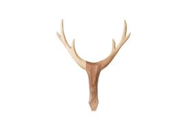 Deer Head Wall Mount