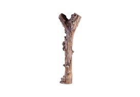 Freeform Wood Sculpture