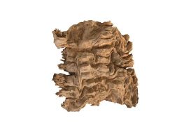 Rosewood Burl Slice Wood