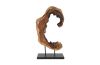Creature Floor Sculpture Assorted Styles