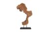 Creature Floor Sculpture Assorted Styles