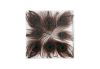 Captured Peacock Feather Wall Tile Clear