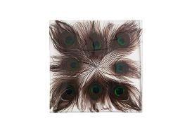 Captured Peacock Feather Wall Tile Clear