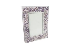 Captured Shell Picture Frame Clear