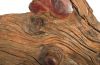 Wood Sculpture Abstract Crocodile Large