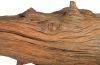 Wood Sculpture Abstract Crocodile Large