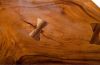 Chamcha Wood River Stone Chair Assorted