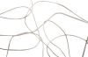 Nest Wall Art