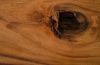 Chamcha Wood Coffee Table Rectangle