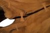 Chamcha Wood Coffee Table Rectangle