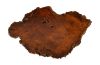 Mai Theng Burl Slice Coffee Table