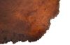 Mai Theng Burl Slice Coffee Table