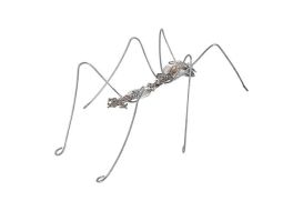 Spoon Ant (Size: X-Large)