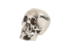 Skull (Finish: Aluminium)
