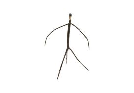 Abstract Monkey (Size: Medium)