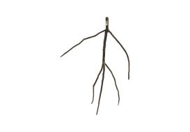 Abstract Monkey (Size: Large)