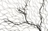 Wire Root Wall Art