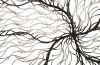 Wire Root Wall Art