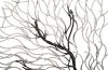 Wire Root Wall Art