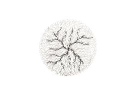 Wire Root Wall Art (Size: Small)