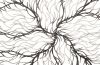 Wire Root Wall Art