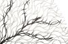 Wire Root Wall Art