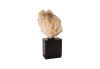 Quartz Stone Sculpture Natural Element on Base