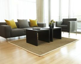 Sabertooth Seagrass Rug (Size: 3' x 5')
