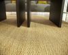 Sabertooth Seagrass Rug
