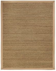 Sabertooth Seagrass Rug (Size: 4' x 6')