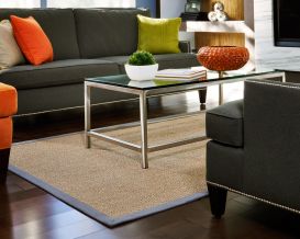 Minivet Sisal Rug (Size: 3' x 5')