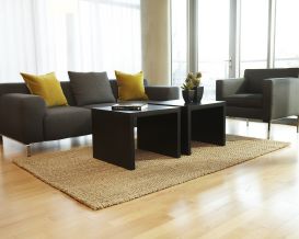 River Sand Jute Rug (Size: 4' x 6')