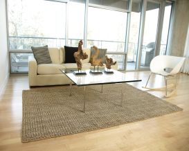 Mira Jute Rug (Size: 4' x 6')