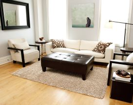 Beige Silky Shag Rug (Size: 5' x 8')