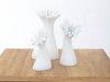 Anemone Vase