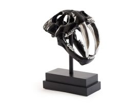 Saber Tooth Tiger Skull (Finish: Black)